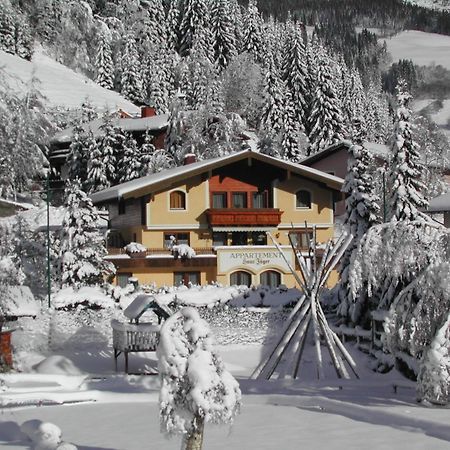 Appartements Landhaus Jaeger Filzmoos Kültér fotó